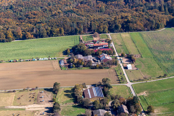 Adventure farm Karlsbad, Beckers Steinighoflädle farm shop in the district Langensteinbach in Karlsbad in the state Baden-Wuerttemberg, Germany