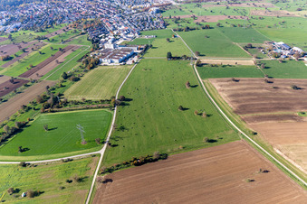 Aerial view of Cattle pasture in the district Langensteinbach in Karlsbad in the state Baden-Wuerttemberg, Germany