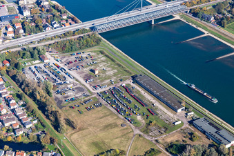 Daimler truck parking area in front of the Rhine dam in the district Maximiliansau in Wörth am Rhein in the state Rhineland-Palatinate, Germany