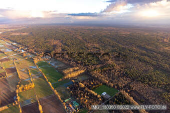 Viehstrich at Bienwald in Kapsweyer in the state Rhineland-Palatinate, Germany