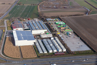 Vegetable Renner V+V in Mutterstadt in the state Rhineland-Palatinate, Germany