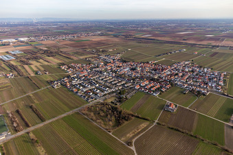 Aerial photograpy of Ellerstadt in the state Rhineland-Palatinate, Germany