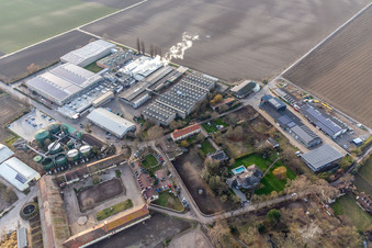 Oblique view of Intersnack Deutschland SE Petersau plant in the district Mörsch in Frankenthal in the state Rhineland-Palatinate, Germany