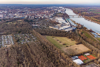 Grove behind the Bürgerweide tennis club in Worms in the state Rhineland-Palatinate, Germany