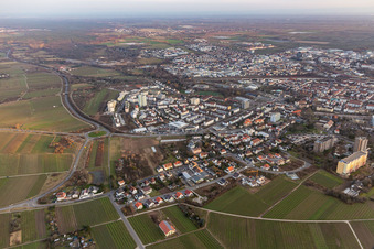 Neustadt an der Weinstraße in the state Rhineland-Palatinate, Germany out of the air