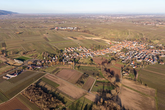 Göcklingen in the state Rhineland-Palatinate, Germany out of the air