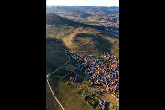 Aerial view of Keschdebusch in Birkweiler in the state Rhineland-Palatinate, Germany