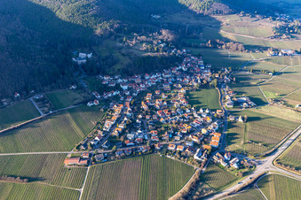 Gleisweiler in the state Rhineland-Palatinate, Germany from above