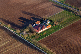 Holiday home Birkenhof in the district Niederlustadt in Lustadt in the state Rhineland-Palatinate, Germany