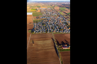 District Niederlustadt in Lustadt in the state Rhineland-Palatinate, Germany from the drone perspective