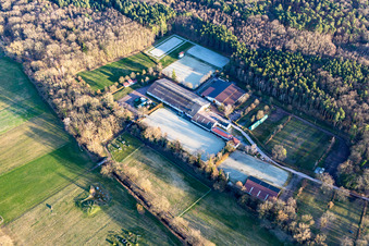 Riding and Driving Club Zeiskam eV, Regina Hemmer Restaurant Zum Reiterstübchen in Zeiskam in the state Rhineland-Palatinate, Germany