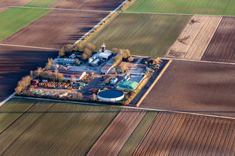 Gardener - Services, container service, disposal, demolition and transport in Bellheim in the state Rhineland-Palatinate, Germany