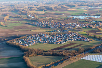 Drone image of District Hardtwald in Neupotz in the state Rhineland-Palatinate, Germany