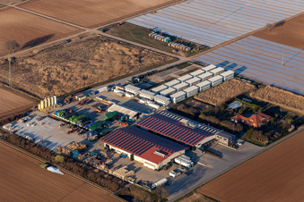 Aerial view of Hortulanushof, Stubenbordt GmbH & Co. KG / Dieter Stubenbordt Vegetable Cultivation in Zeiskam in the state Rhineland-Palatinate, Germany