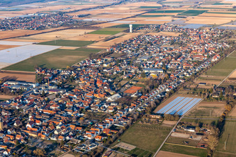 District Niederlustadt in Lustadt in the state Rhineland-Palatinate, Germany from a drone