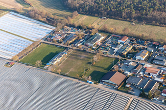 Football Club Lustadt eV in the district Niederlustadt in Lustadt in the state Rhineland-Palatinate, Germany