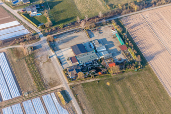Farm along the former railway line/trolley rail route in the district Niederlustadt in Lustadt in the state Rhineland-Palatinate, Germany
