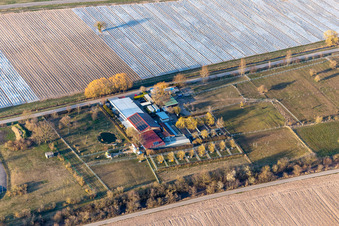 TERRA MATER eV Environmental and Animal Aid Animal Rescue Center Lustadt in the district Niederlustadt in Lustadt in the state Rhineland-Palatinate, Germany