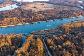 Old Rhine Leimersheim in Leimersheim in the state Rhineland-Palatinate, Germany