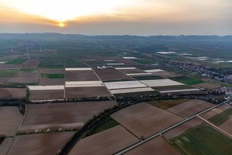 Aerial view of The farmer in Winden in the state Rhineland-Palatinate, Germany