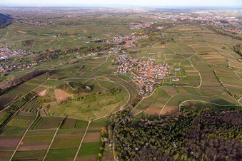 Birkweiler in the state Rhineland-Palatinate, Germany out of the air