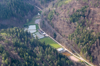 Aerial view of Palatinate Forest Trout Owner Stefan Erber in Eußerthal in the state Rhineland-Palatinate, Germany