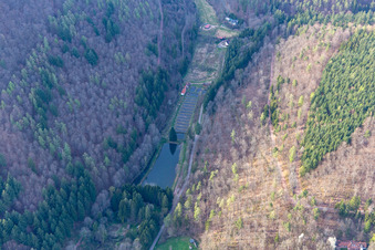 Aerial photograpy of Palatinate Forest Trout Owner Stefan Erber in Eußerthal in the state Rhineland-Palatinate, Germany
