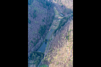 Oblique view of Palatinate Forest Trout Owner Stefan Erber in Eußerthal in the state Rhineland-Palatinate, Germany