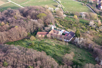 Slevogthof in Leinsweiler in the state Rhineland-Palatinate, Germany from the plane
