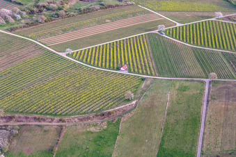 Haardtrand-Wolfsteig in Pleisweiler-Oberhofen in the state Rhineland-Palatinate, Germany from above