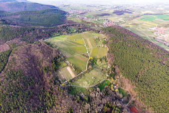 Haardtrand-Wolfsteig in Pleisweiler-Oberhofen in the state Rhineland-Palatinate, Germany out of the air