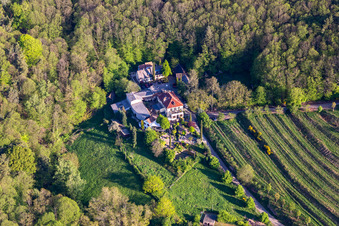 Guesthouse Sankt Annagut in Burrweiler in the state Rhineland-Palatinate, Germany