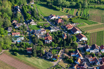 Birdsong in Weyher in der Pfalz in the state Rhineland-Palatinate, Germany