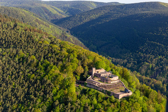 Rietburg Castle Ruins Rietburg in Rhodt unter Rietburg in the state Rhineland-Palatinate, Germany