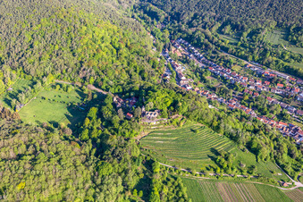 Kropsburg Castle in the district SaintMartin in Sankt Martin in the state Rhineland-Palatinate, Germany from above