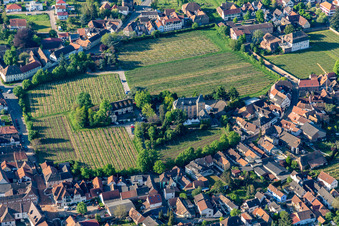 Hotel Schloß Edesheim, Private Hotels Dr. Lohbeck GmbH & Co. KG in Edesheim in the state Rhineland-Palatinate, Germany from above