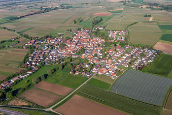 Oblique view of Impflingen in the state Rhineland-Palatinate, Germany