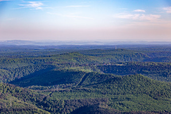 Hermersbergerhof Luitpold Tower in Wilgartswiesen in the state Rhineland-Palatinate, Germany
