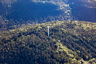 Aerial view of Transmission tower in the district Blankenborn in Bad Bergzabern in the state Rhineland-Palatinate, Germany