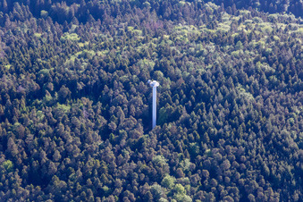 Aerial photograpy of Transmission tower in the district Blankenborn in Bad Bergzabern in the state Rhineland-Palatinate, Germany