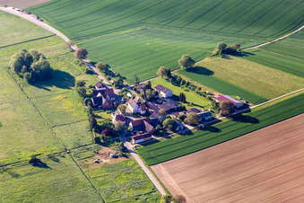 Aerial view of Wine & Sparkling Wine Däuwel in the district Deutschhof in Kapellen-Drusweiler in the state Rhineland-Palatinate, Germany