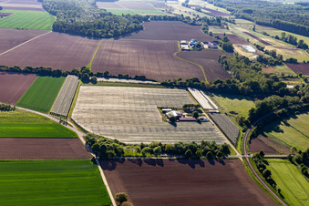 Asparagus and Obsthof Gensheimer in Steinweiler in the state Rhineland-Palatinate, Germany from above