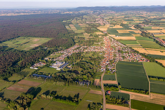 Drone recording of District Schaidt in Wörth am Rhein in the state Rhineland-Palatinate, Germany