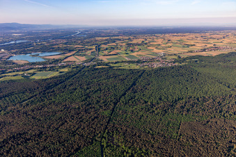 Scheibenhard in the state Bas-Rhin, France seen from a drone