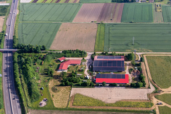 Chicken farm - egg farm on the A65 in Erlenbach bei Kandel in the state Rhineland-Palatinate, Germany