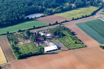 Southern Palatinate Football Golf Park at Adamshof in Kandel in the state Rhineland-Palatinate, Germany