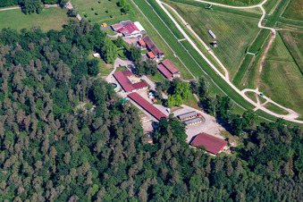 Hippodrome de la hardt Soc Races De Wissembourg in the district Altenstadt in Wissembourg in the state Bas-Rhin, France