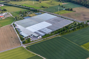 Reichenau Gardeners' Settlement in Beuren an der Aach in the district Beuren an der Aach in Singen in the state Baden-Wuerttemberg, Germany