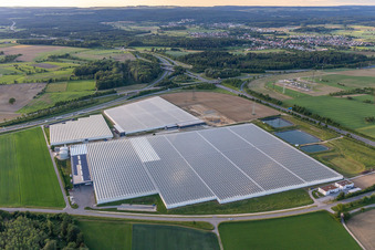 Reichenau Gardeners' Settlement in Beuren an der Aach in the district Beuren an der Aach in Singen in the state Baden-Wuerttemberg, Germany from above