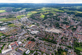 Grapes in Weingarten bei Ravensburg in the state Baden-Wuerttemberg, Germany